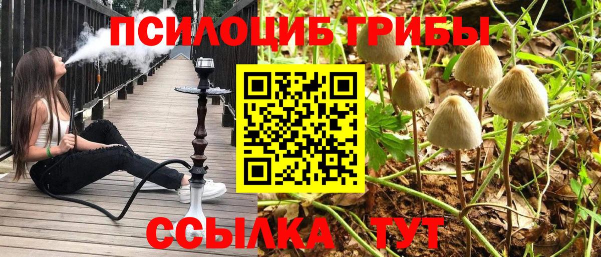 Надым  Галлюциногенные грибы Psilocybe  Вход с VPN 