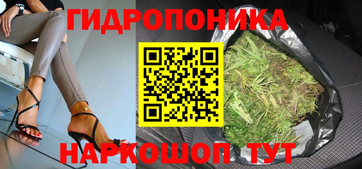 Конопля Bruce Banner Надым